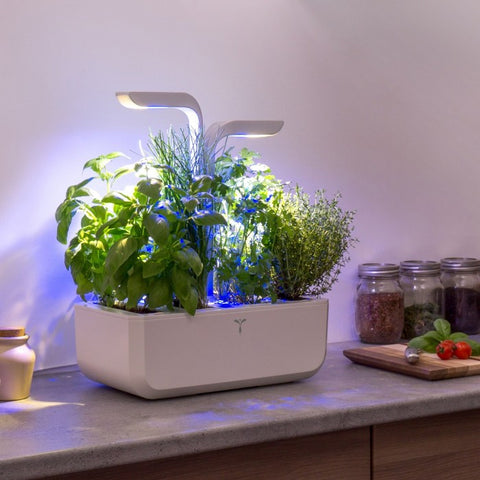 Auf der Küchentheke steht ein moderner Véritable Classic - Indoor-Kräutergarten mit blühenden Grünpflanzen, die mit SavoryLight LED-Technologie kultiviert werden. Daneben stehen Gewürzgläser und ein hölzernes Schneidebrett mit frischen Tomaten und einem Messer, die diese einladende Szene vervollständigen.