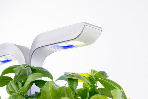 Eine moderne Véritable Smart - Indoor Kräutergarten-Lampe taucht üppige grüne Pflanzen mithilfe der Adapt'Light LED-Technologie in Licht und verfügt über ein elegantes weißes Design mit zwei Farboptionen. Die frischen Kräuter gedeihen unter dem sanften Schein, hervorgehoben vor einem einfachen weißen Hintergrund.