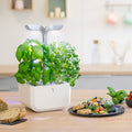 Eine Küchentheke mit dem Véritable Exky Smart - Indoor Kräutergarten von Véritable, der mit Adapt'Light LED-Technologie üppiges grünes Basilikum und verschiedene frische Kräuter anbaut. Daneben runden ein Teller mit frischem Salat und Brotscheiben die frische und gesunde kulinarische Atmosphäre ab.