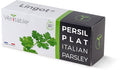 Die Verpackung von Véritable Lingot Italian Parsley - Organic Samen zeigt ein lebendiges Bild von Petersilienblättern. Etiketten in Französisch und Englisch weisen darauf hin, dass diese Bio-Samen in Frankreich hergestellt werden und sich ideal für Ihren Indoor-Garten eignen.