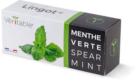 Die Verpackung der Véritable Lingot Spear Mint - Organic Samen zeigt leuchtend grüne Minzblätter. Der Satz „Menthe Verte Spearmint“ betont mit den Farben der Flagge seine französischen Wurzeln. Diese Minze ist ideal für Ihren Indoor-Garten, sie ist sowohl echt als auch wohlriechend und verkörpert den Geist Frankreichs.