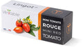 Eine Schachtel Véritable Lingot Red Mini-Tomaten - Bio-Samen, perfekt für Ihren Indoor-Garten. Die Verpackung zeigt reife Tomaten und gelbe Blüten vor einem schwarz-weiß-orangefarbenen Design und zeigt stolz „Made in France“ mit einer kleinen französischen Flagge.