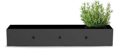 Das Cozze Universalregal - schwarz ist ein rechteckiges schwarzes Regal mit drei vorderen Haken, ideal für eine Outdoor-Küche Regal. Es hält frische Kräuter wie Rosmarin auf der rechts-perfekten Stauraum Gewürze von Cozze für Ihren Outdoor-Kochplatz.